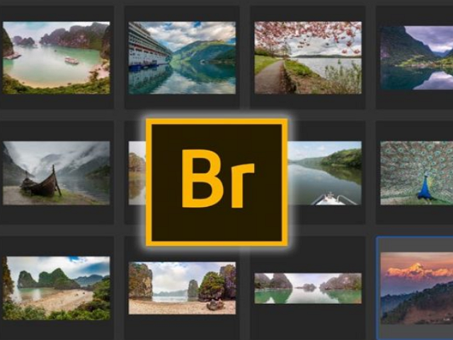 Adobe Bridge 4