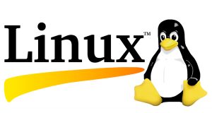 Chromebook'a Linux Distro Nasıl Kurulur