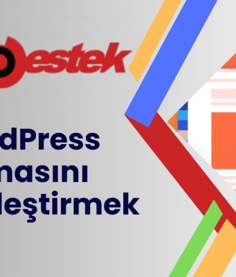 WordPress Temasını Kişiselleştirmek