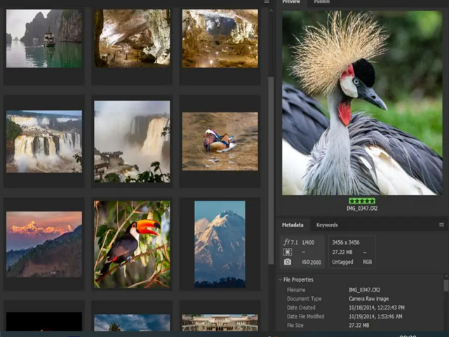 Adobe Bridge 3 - Adobe Bridge Nedir, Nasıl Kullanılır?