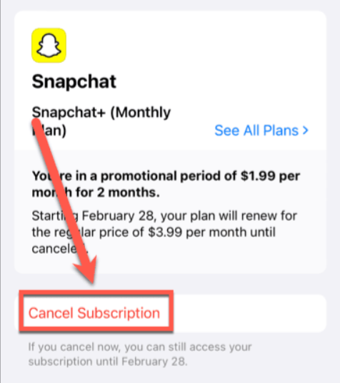 Ekran goruntusu 2024 03 04 163329 - Snapchat Plus Nasıl İptal Edilir
