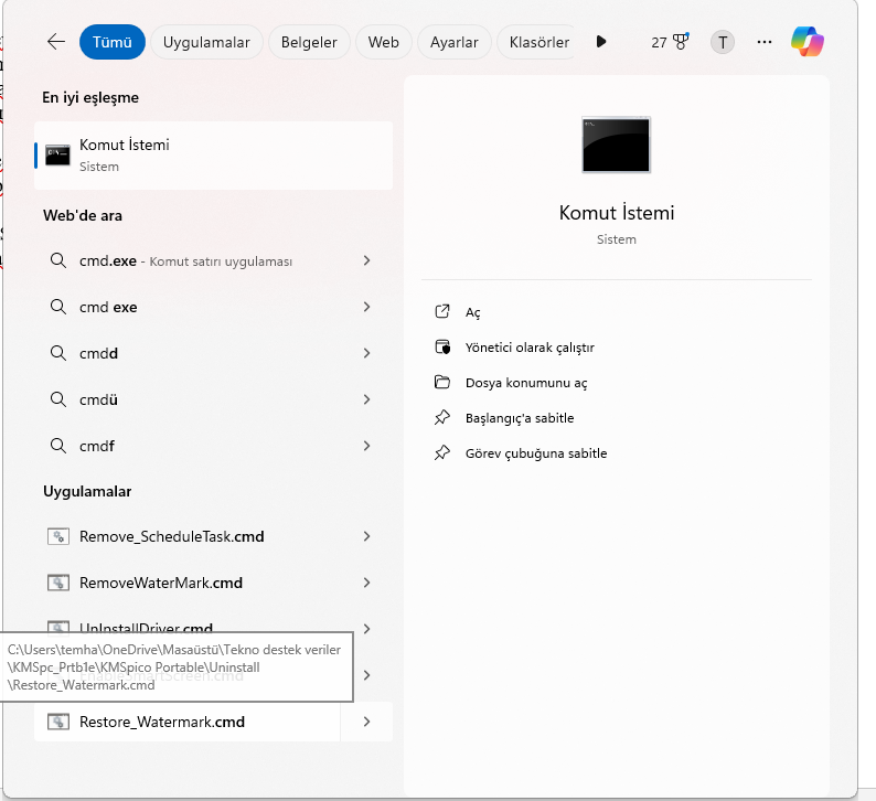Msxml4.dll Msxml4.dll Hatası Çözüm