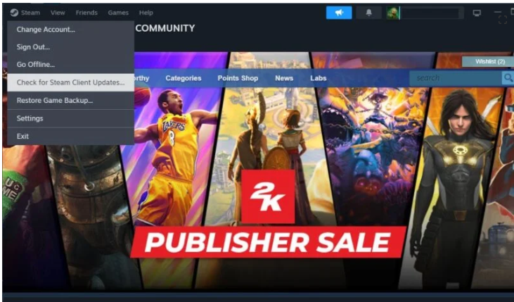 Steam Uzaktan Oynatma Çalışmaması Nasıl Onarılır? Steam Uzaktan Oynatma Onarma