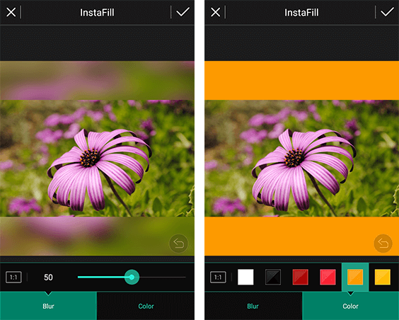WhatsApp profil resmi bulanık olma sorununun etkileriyle ilgili görsel.