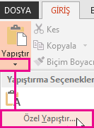Özel Yapıştır Seçeneği