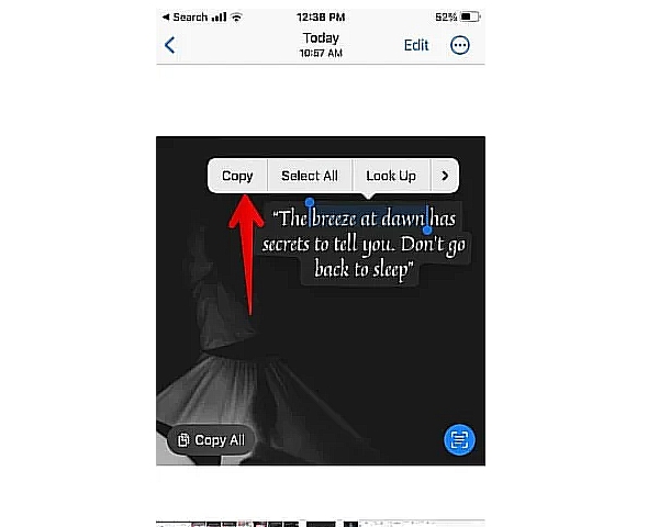 screenshot.1 1 - iPhone'daki Bir Görüntüden Metin Çıkarmanın ve Kopyalamanın 5 Yolu