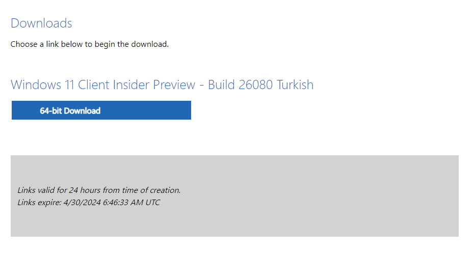 Windows 11 24H2 ISO dosyasını indirme