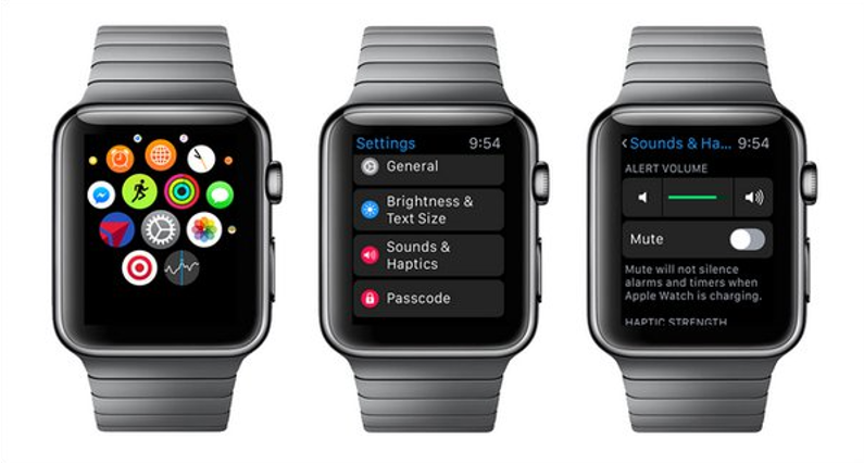Apple Watch Ses ve Bildirim Ayarlarini Duzenleme 4
