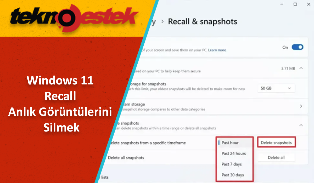 Recall Anlık Görüntülerini Silmek