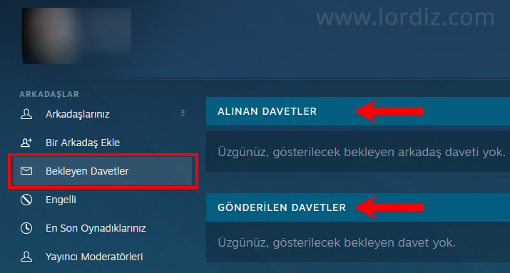 Steam Arkadaş Listesi Nasıl Görüntülenir