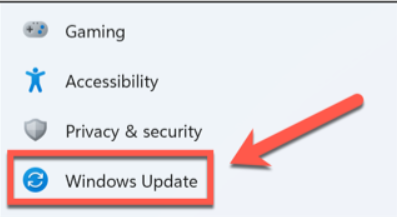 Ekran goruntusu 2024 05 27 102107 - Windows 11'de Copilot Eksik mi