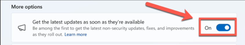 Ekran goruntusu 2024 05 27 102141 - Windows 11'de Copilot Eksik mi