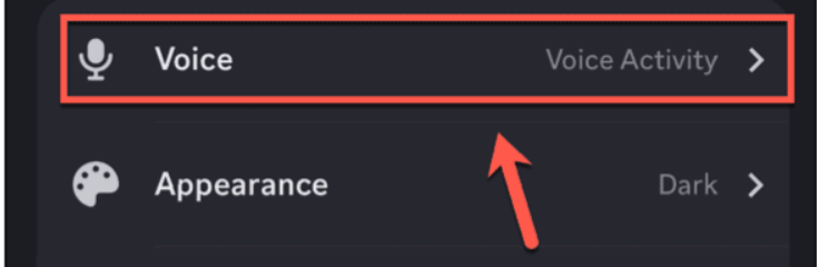 Ekran goruntusu 2024 05 29 121009 - Discord Mobil Ses Kalitesi Nasıl Onarılır