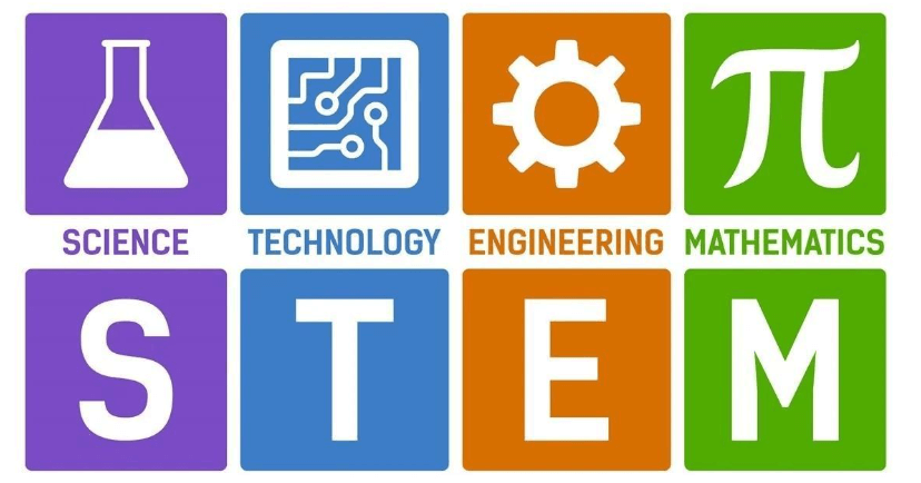 STEM'i Anlamak