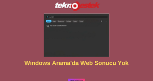 Windows Aramada Web Sonucu Yok