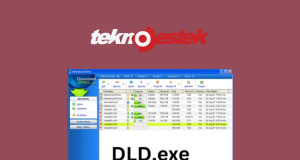 Dld.exe nedir