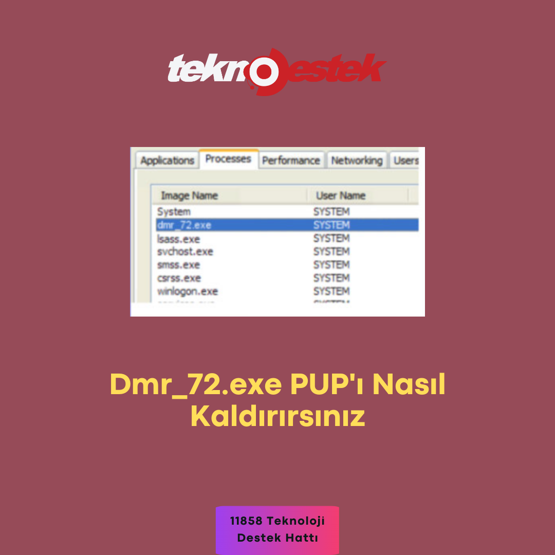 Dmr_72.exe Çözüm Adımları