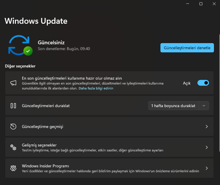 Windows 11 Güncellemeleri Manuel Yükleme