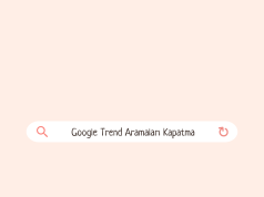 Google Trend Aramaları Kapatma Adımları