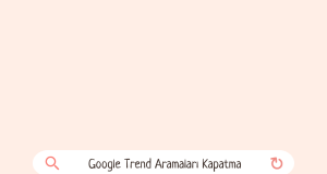 Google Trend Aramaları Kapatma Adımları