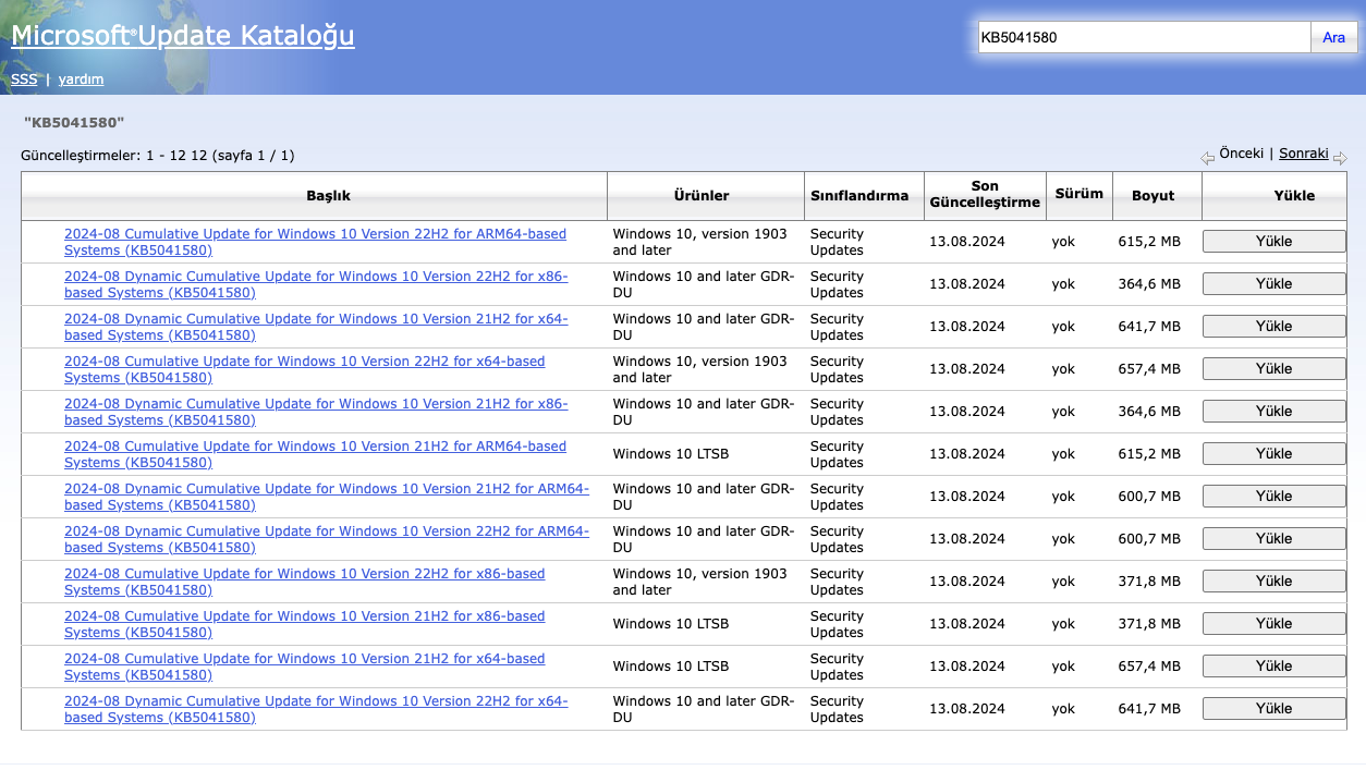 Windows 10 KB5041580 Güncellemesi Yüklenemiyor