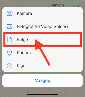 iPhone'da Fotoğrafları Belge Olarak Göndermenin 4 Yolu