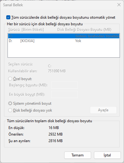 Windows 11 Performans Sorunları