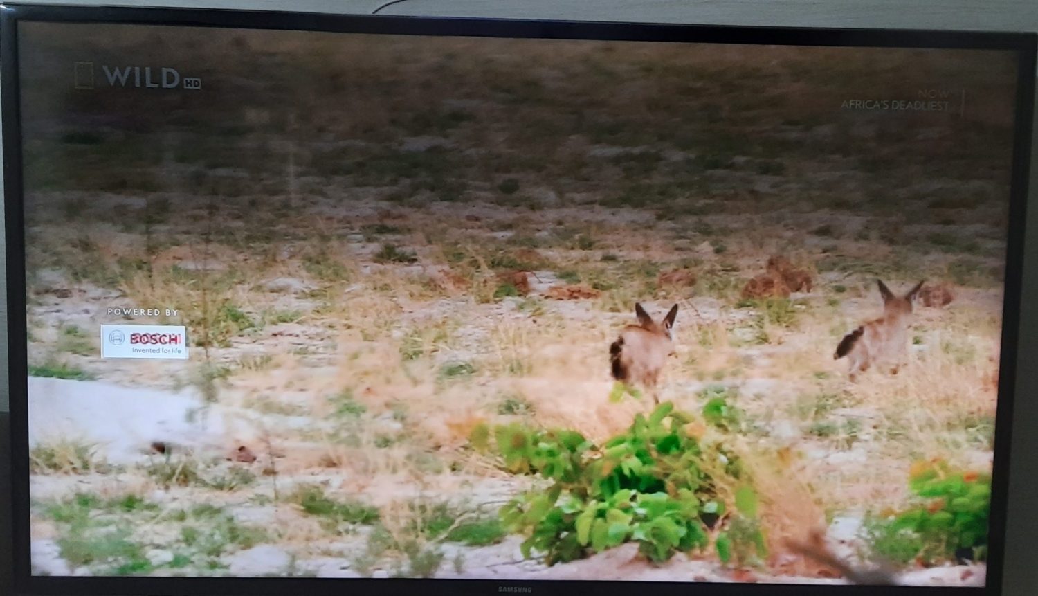 Televizyon ekranında görüntü kalitesi sorunlarını gösteren bir görsel; bulanık görüntü, renk sapmaları ve düşük çözünürlük problemlerini yansıtan bir ekran.