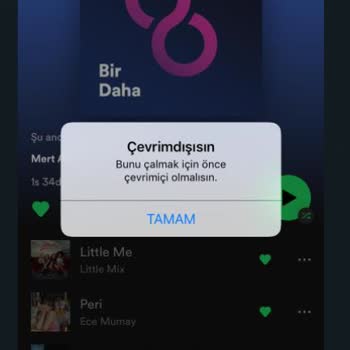 Spotify'ın Mobil veya Bilgisayarda Şarkı Çalmamasını Düzeltme