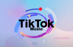 TikTok Music Kapatiliyor 1