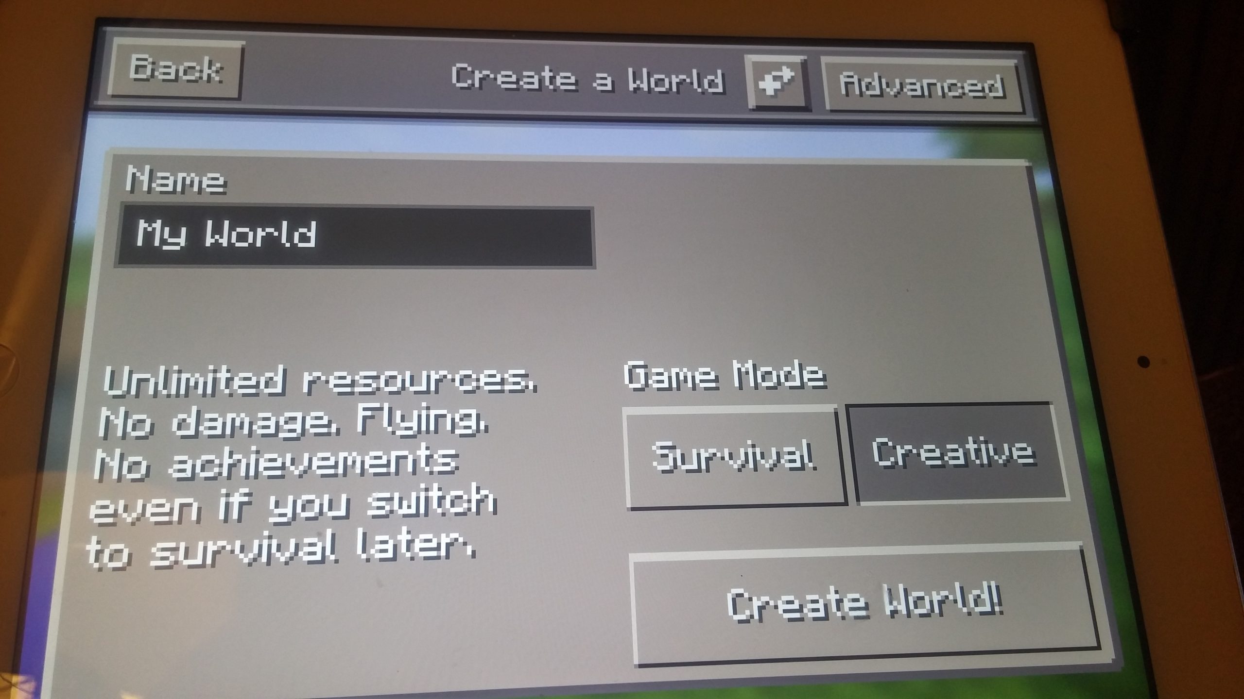 Minecraft sunucusu için ayarların yapılandırıldığı bir görsel.