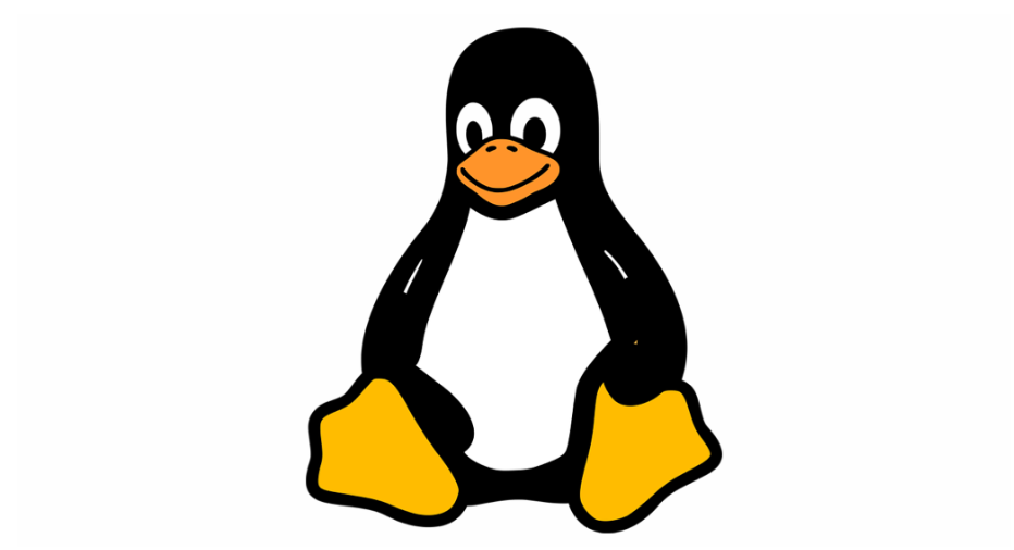 Ekran goruntusu 2024 11 05 232218 - Linux Terminalinde Metin Bulmanın ve Değiştirmenin 3 Yolu