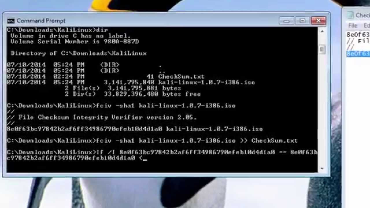 Kali Linux USB Resistance Çalışmıyor Sorunu