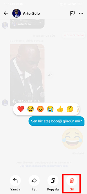 TikTok Gönderilen Mesajı Silme