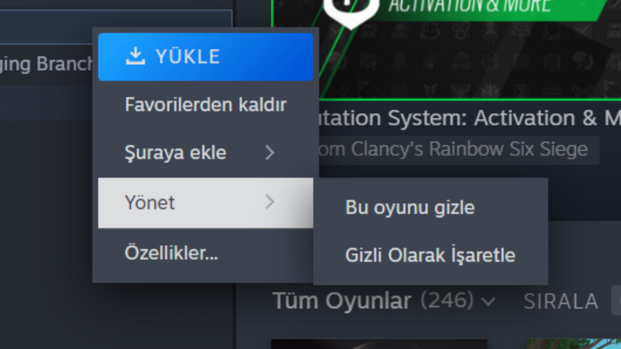 Steam de Çevrimdışı Gözükme İçin Yöntemler