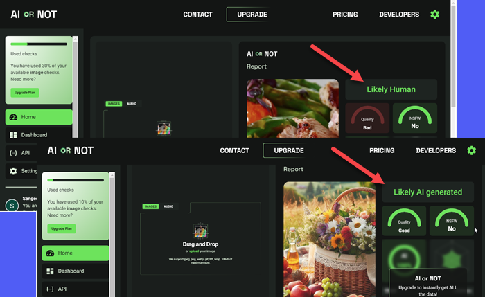 Görüntü Gerçek mi Yoksa Yapay Zeka mı Gerçek mi Yoksa Yapay Zeka mı
