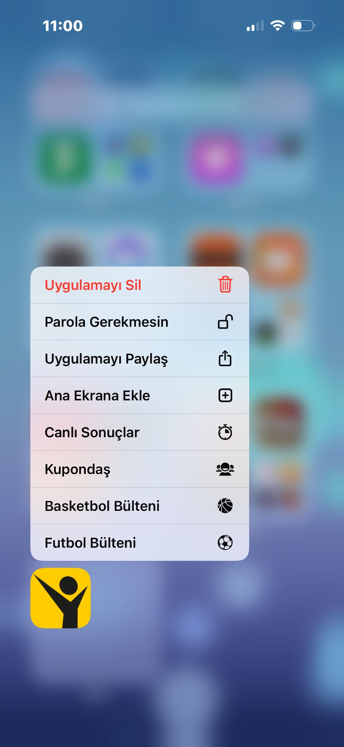 Skype Picture 2024 11 06T08 03 10 518Z - iPhone'da Uygulamalar Nasıl Gizlenir