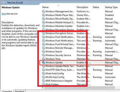 Görünüm Görünüm
