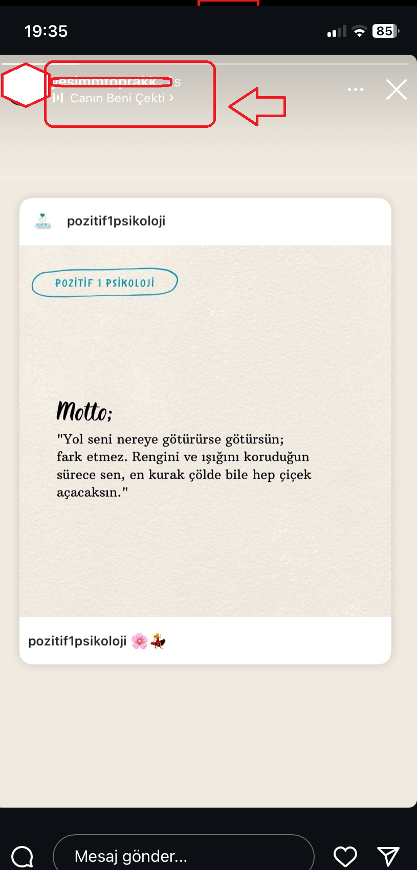 Instagram Hikayedeki Müziği Spotify Beğenilenlere Ekleme