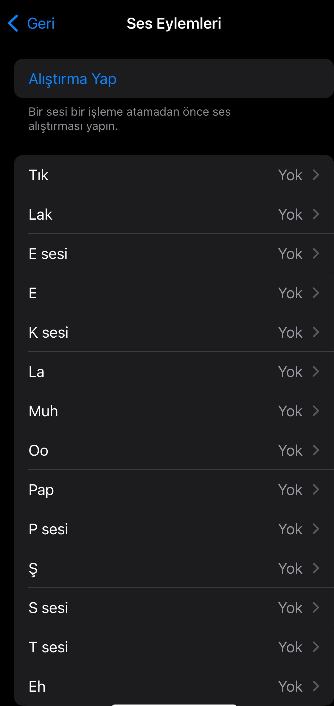 İphone telefonda ses eylemi ekleme özelliği nasıl kullanılır ? İphone telefonda ses eylemi ekleme özelliği nasıl kullanılır ?