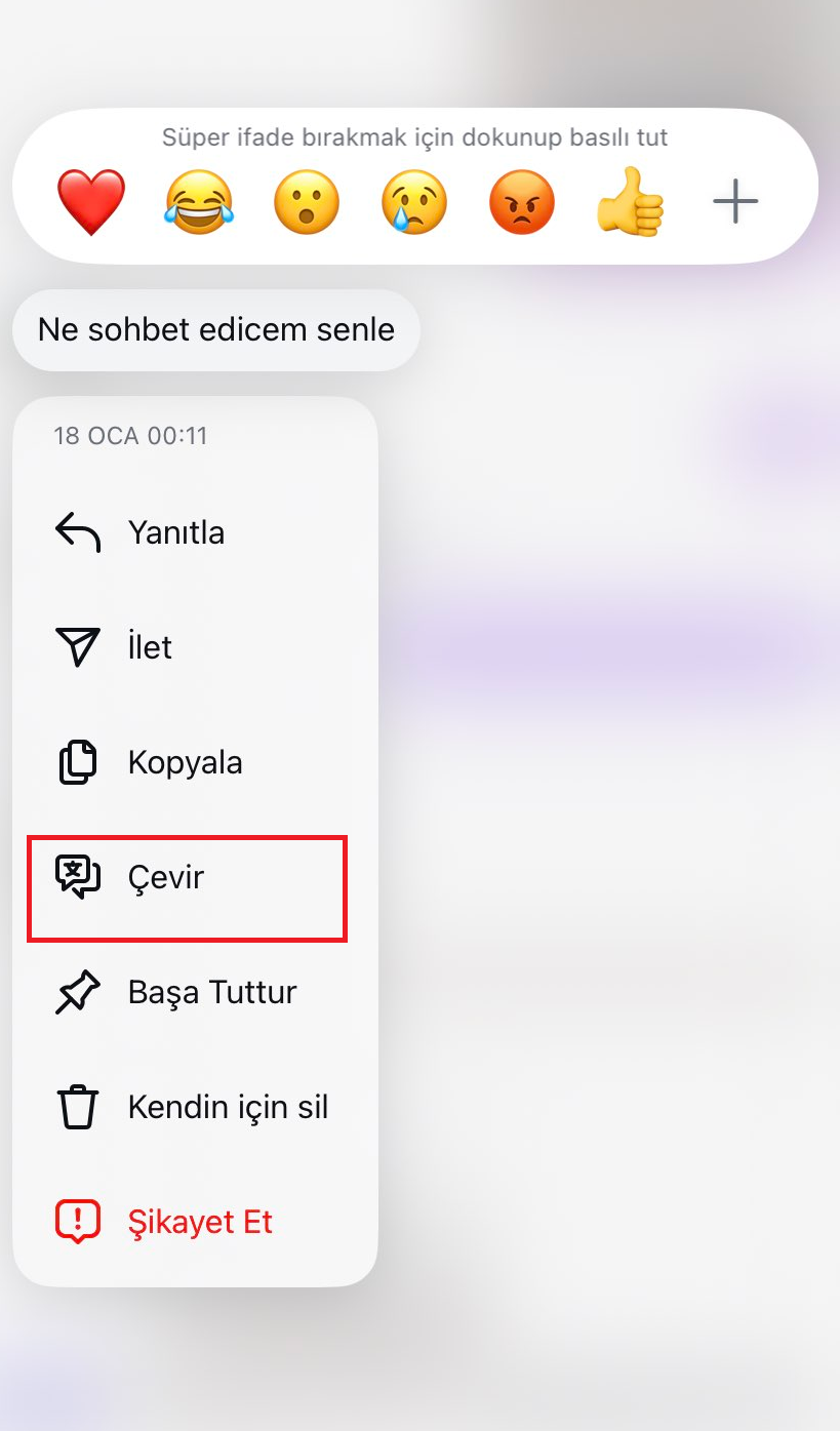 Instagram gelen mesajları farklı dillere çevirme