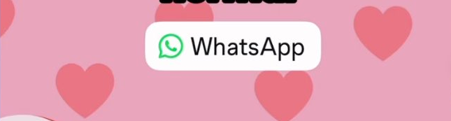 Instagram hikayesine whatsApp etiketi ekleme adımları nelerdir