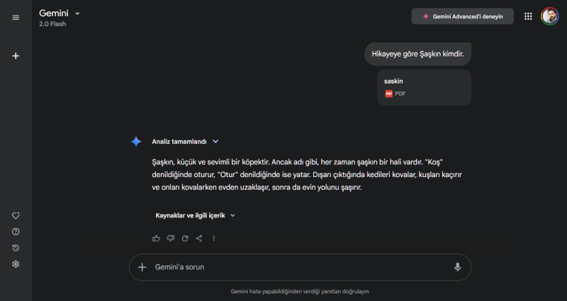 Gemini Ücretsiz Belge Yükleme Nasıl Çalışır?