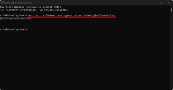 Windows 11 Ürün Anahtarı Öğrenmenin 4 Yolu