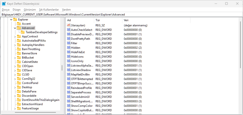 Kayıt Defteri Düzenleyicisi