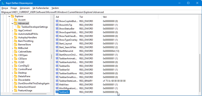 Kayıt Defteri TaskbarSi
