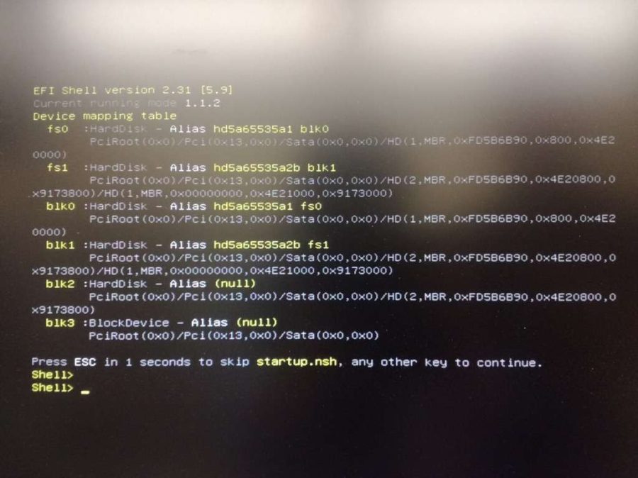 Kurulumda EFI Shell Hatası Kurulumda EFI Shell Hatası