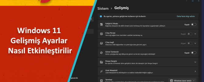 Windows 11 Gelişmiş Ayarlar Sayfasını Etkinleştirme