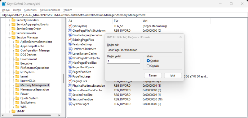 Windows 11 Yüksek RAM Kullanımı
