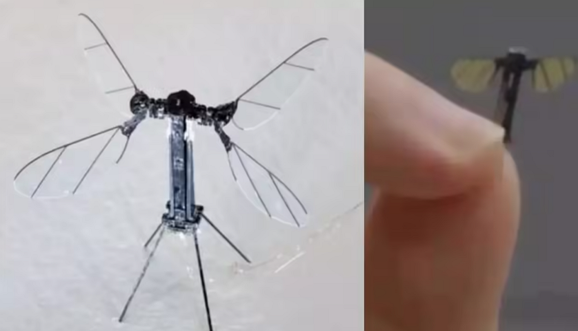Sivrisinek Boyutunda Drone Minik Bedende Dev Teknoloji Sivrisinek Boyutunda Drone Minik Bedende Dev Teknoloji 3 - Sivrisinek Boyutunda Drone Minik Bedende Dev Teknoloji